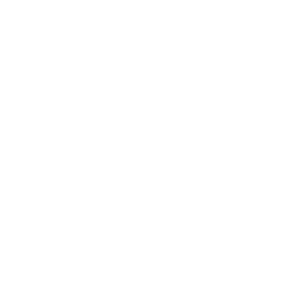 Logo der CMCR Germany